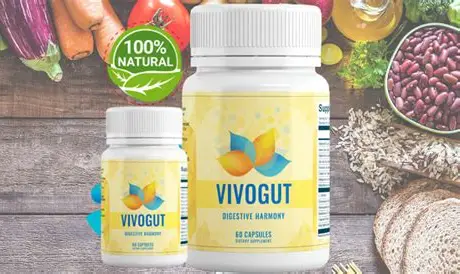 VivoGut -  ingrediens image